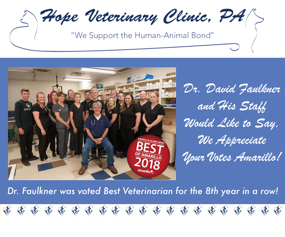 Hope Veterinary Clinic - Animal Care 